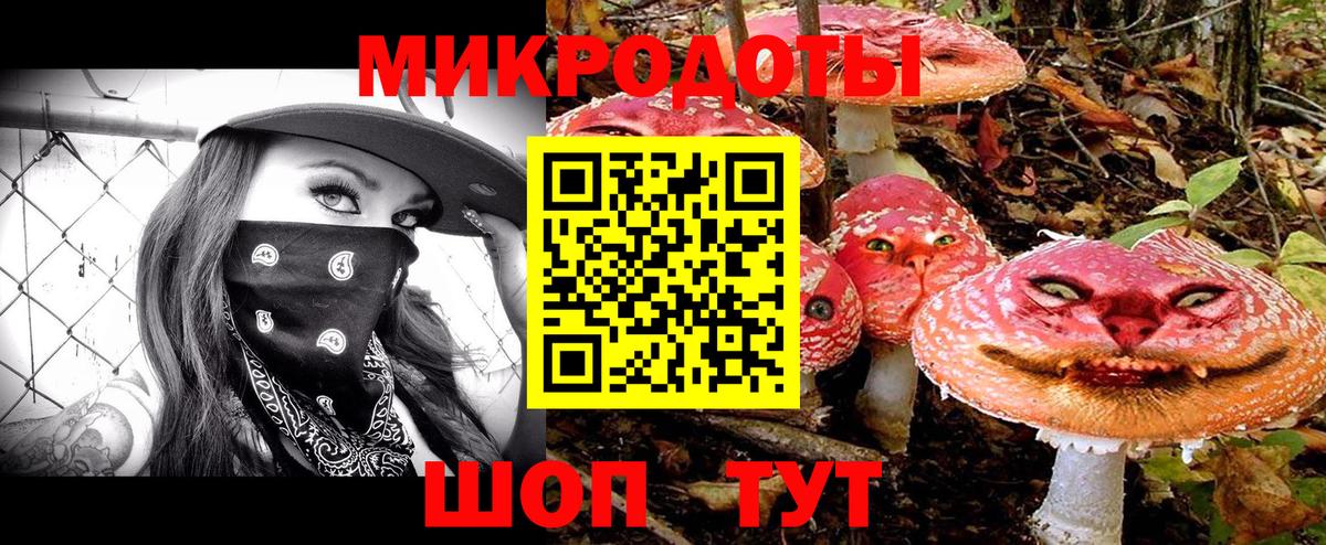 Галлюциногенные грибы прущие грибы Малоярославец